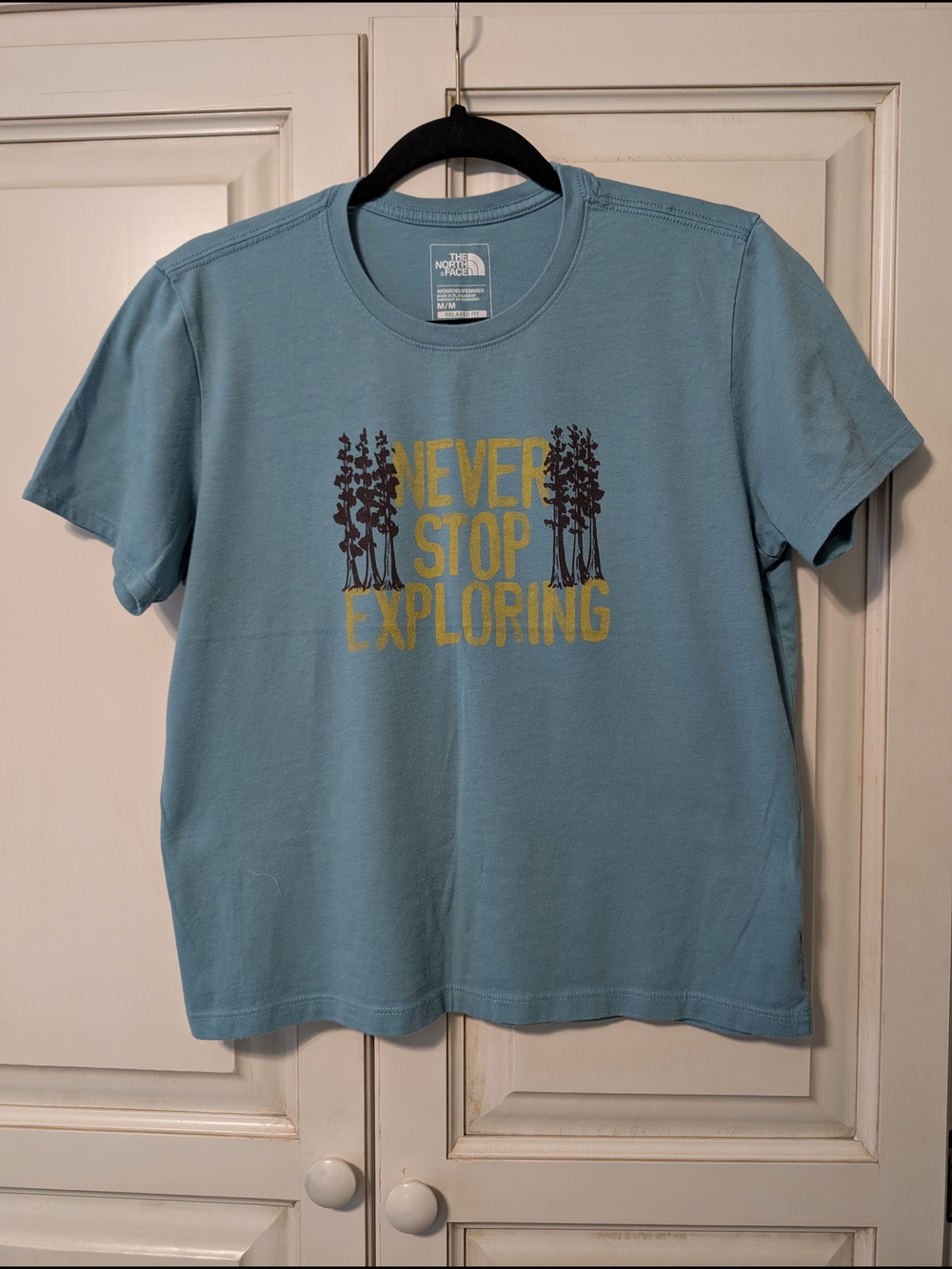 The North Face Teal Blue Relaxed Fit Women's Graphic Tee